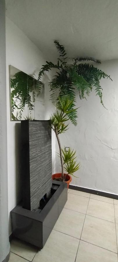 Vision Relax Home 普拉亚戴尔雷安格莱斯 外观 照片